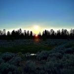 Sand Springs Campground