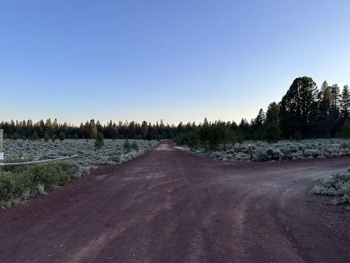 Sand Springs Campground Picture 2