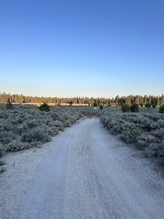 Sand Springs Campground Picture 3
