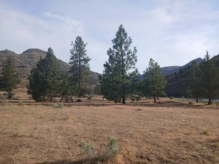 Service Creek Campground and Boat Launch Picture 8