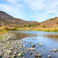 Service Creek Campground and Boat Launch ico