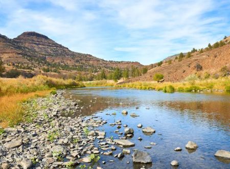Service Creek Campground and Boat Launch
