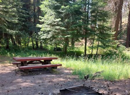 Bear Hollow Park