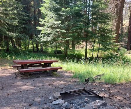 Bear Hollow Park