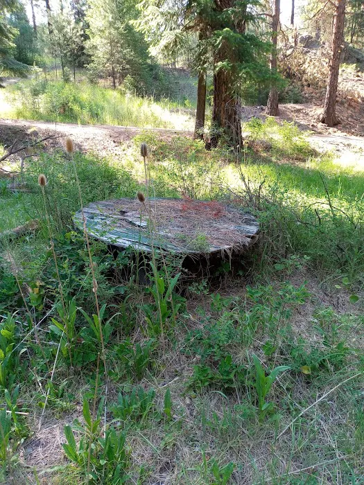 Bear Hollow Park Picture 5