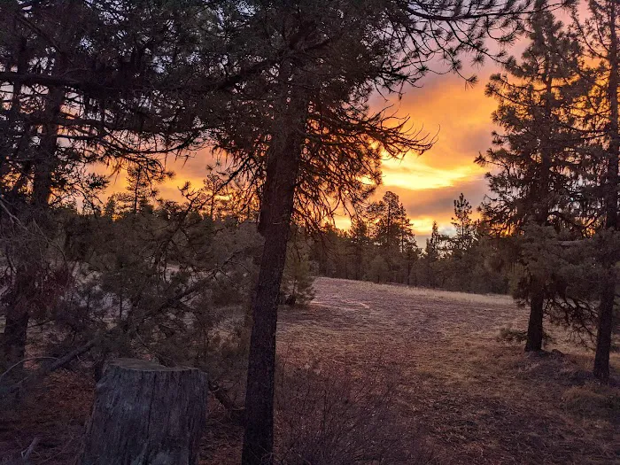 Cottonwood Pit Campground Picture 10