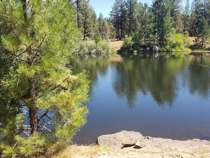 Cottonwood Pit Campground Picture 4
