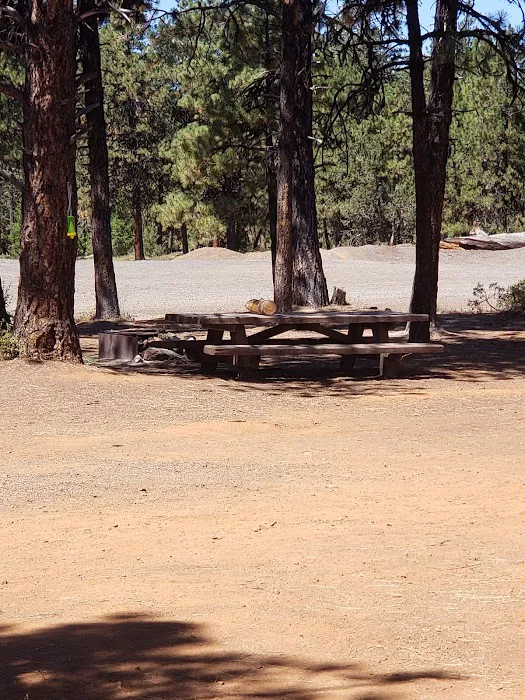 Cottonwood Pit Campground Picture 5