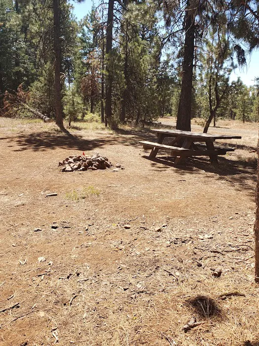 Cottonwood Pit Campground Picture 7