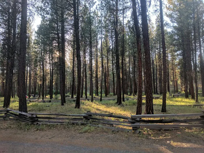 Sugar Creek Campground and Day Use Area Picture 9