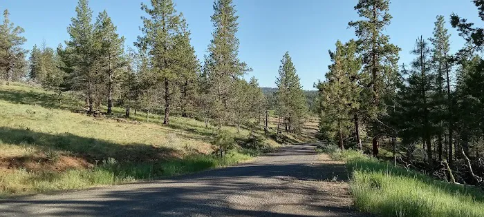 Mud Springs Horse Camp Picture 1