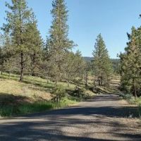 Mud Springs Horse Camp ico