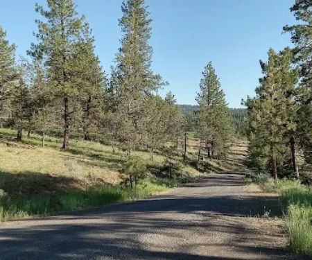 Mud Springs Horse Camp