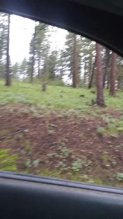 Antelope Flat Reservoir Campground Picture 7