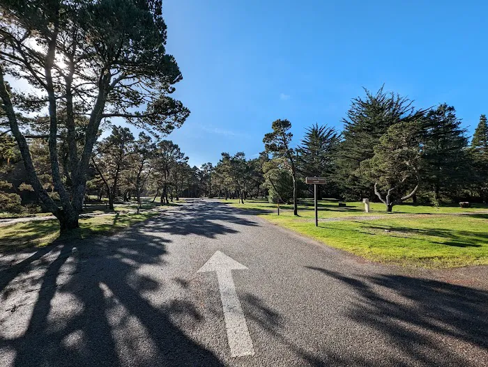 Bullards Beach State Park Campground Picture 9