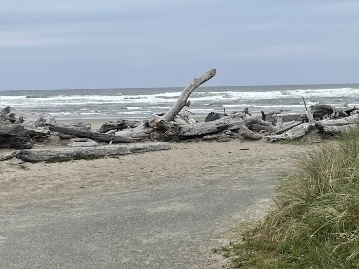Bullards Beach State Park Campground Picture 10