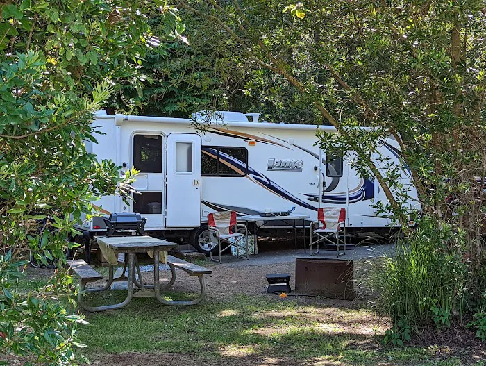 Bullards Beach State Park Campground Picture 8