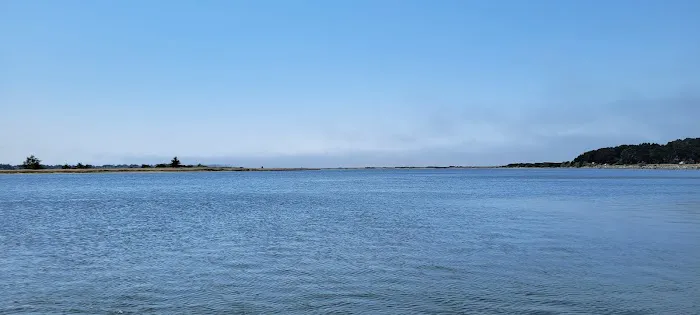 Bullards Beach State Park Campground Picture 5