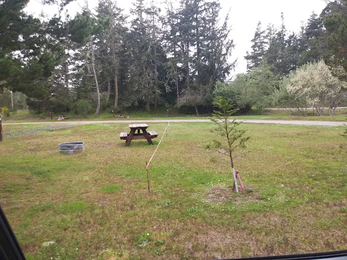 Coquille River RV Park Picture 4