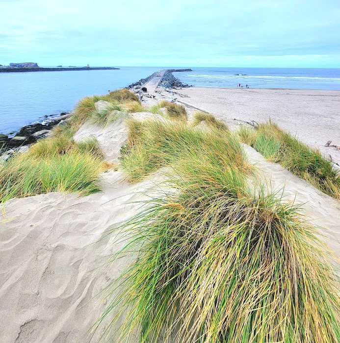 Bandon By the Sea RV Park Picture 2