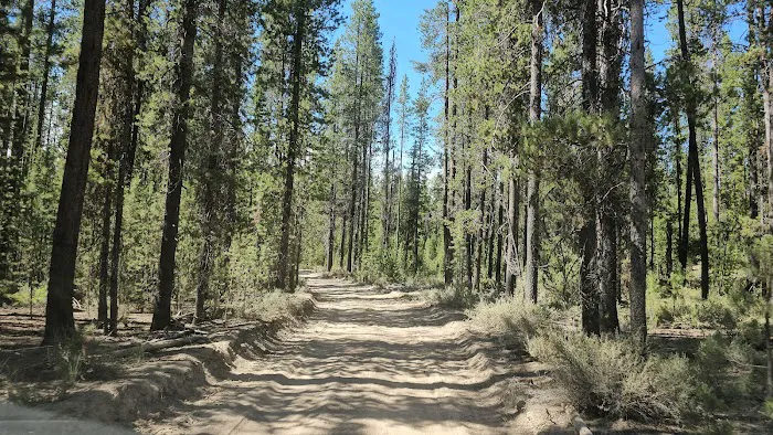 Digit Point Campground Picture 9