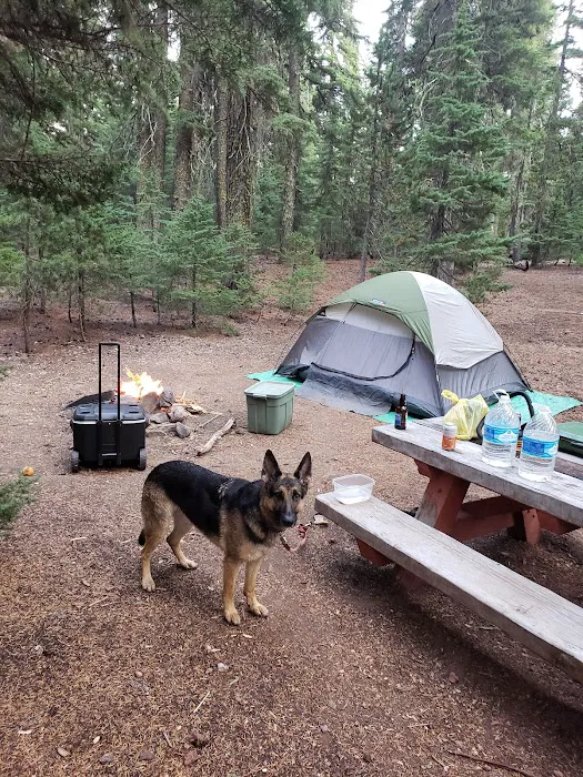 Digit Point Campground Picture 6