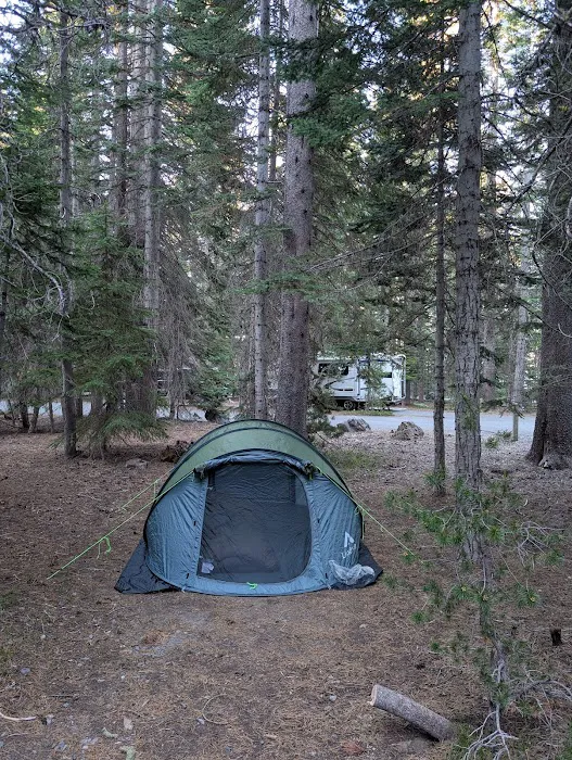 Thielsen View Campground Picture 1