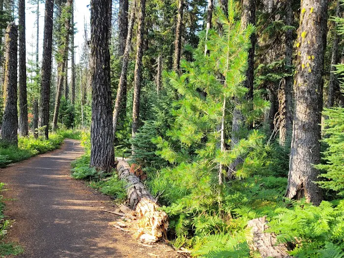 Thielsen View Campground Picture 4