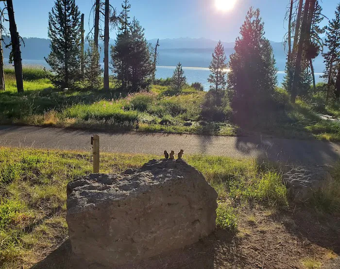 Thielsen View Campground Picture 10