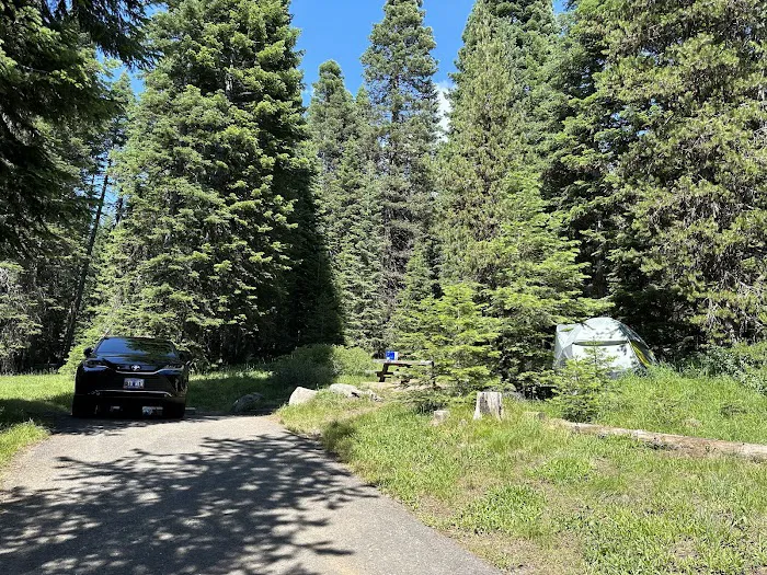 Diamond Lake Campground Picture 3