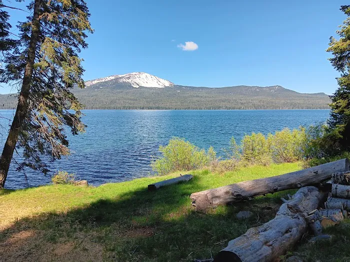 Diamond Lake Campground Picture 5