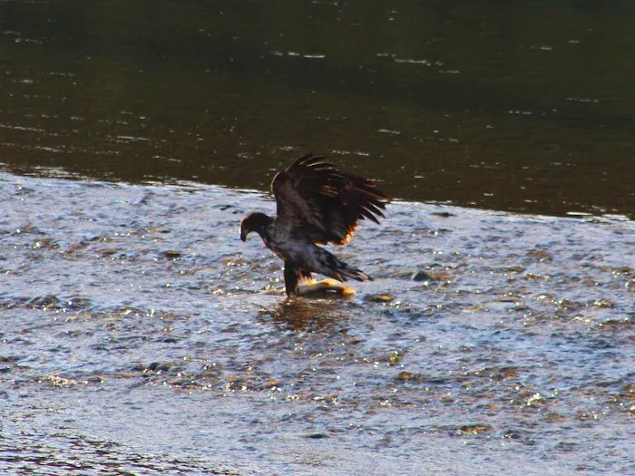 Muchwater Recreation Area Picture 1