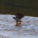Muchwater Recreation Area
