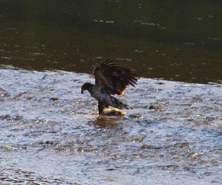 Muchwater Recreation Area