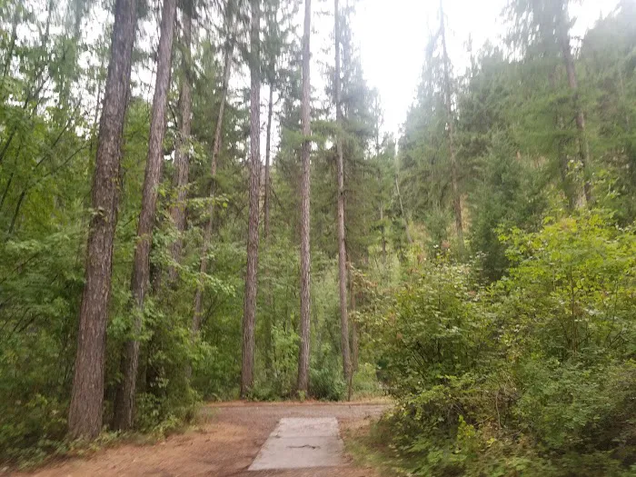 Cascade Creek Campground Picture 2