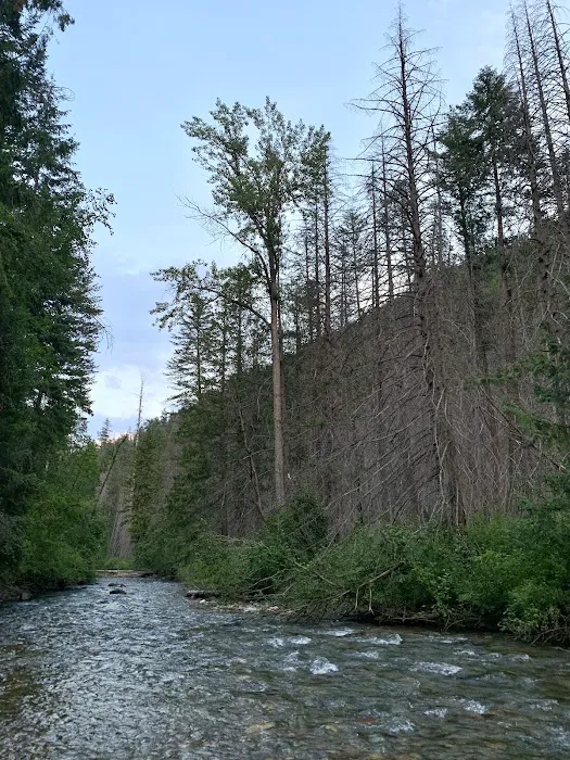 Trout Creek Campground Picture 1