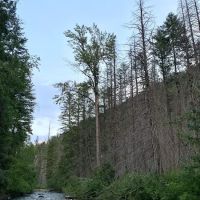 Trout Creek Campground ico