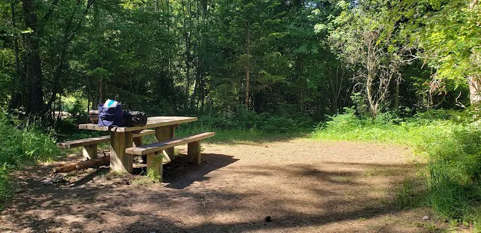 Trout Creek Campground Picture 6