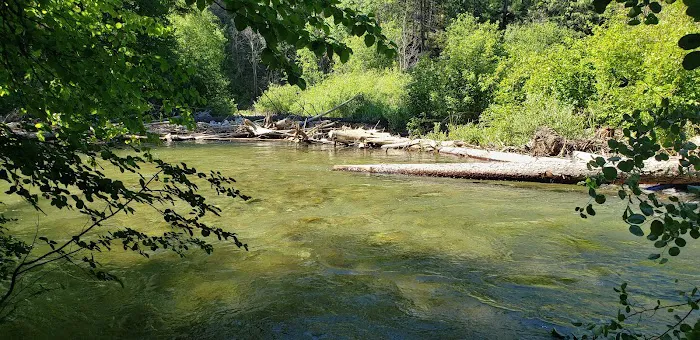Trout Creek Campground Picture 3