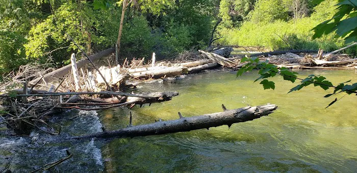 Trout Creek Campground Picture 5