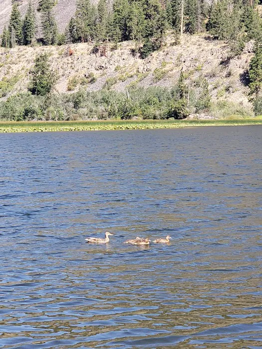 Rainbow Lake Campground Picture 4