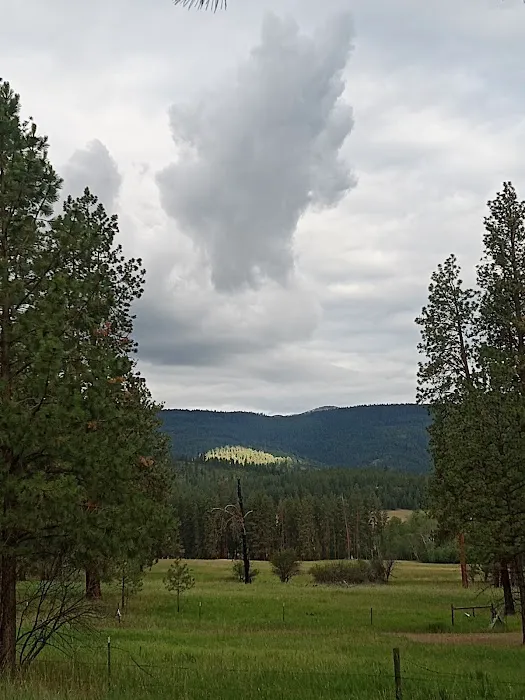 Nellie Sue Campground Picture 1