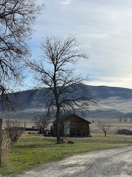 Hot Springs Campground & RV , Hot Springs MT Picture 4