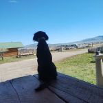 Hot Springs Campground & RV , Hot Springs MT