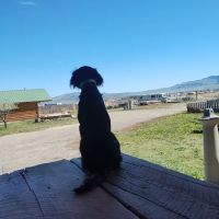 Hot Springs Campground & RV , Hot Springs MT ico