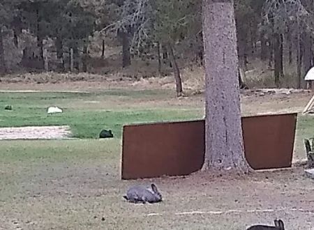 Moose Crossing Inc