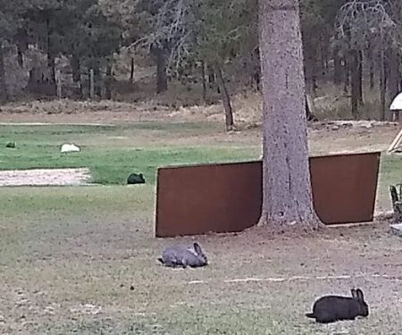 Moose Crossing Inc