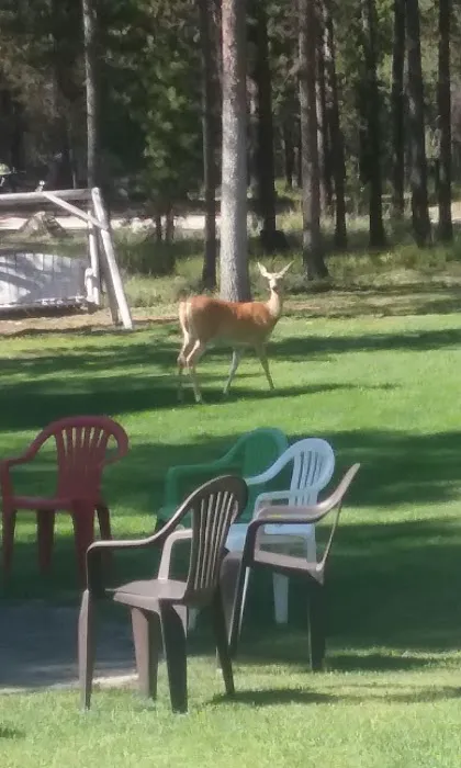 Moose Crossing Inc Picture 9