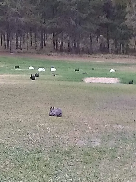 Moose Crossing Inc Picture 4