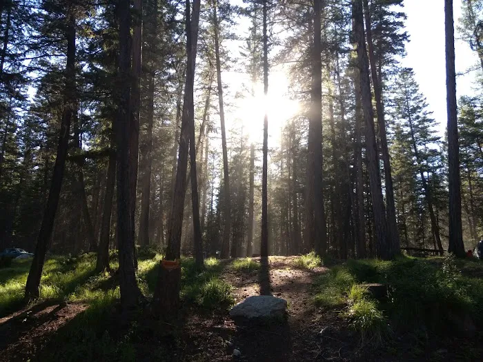 Ashley Lake North Campground Picture 4